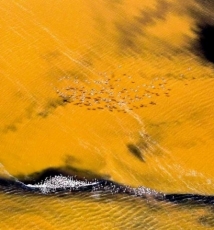 非洲空中泼墨写意