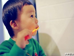 胖胖爱刷牙