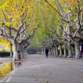 雨后交大校园随拍