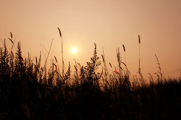 荒野夕阳