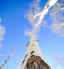 pandadumpster 风光摄影作品欣赏