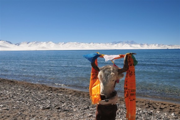 神圣的纳木错湖