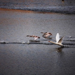 2011年旅游摄影大赛参赛作品--布一样的布拉格