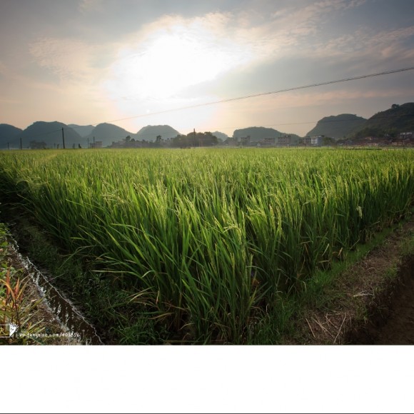 转载："好摄杰夫"作品