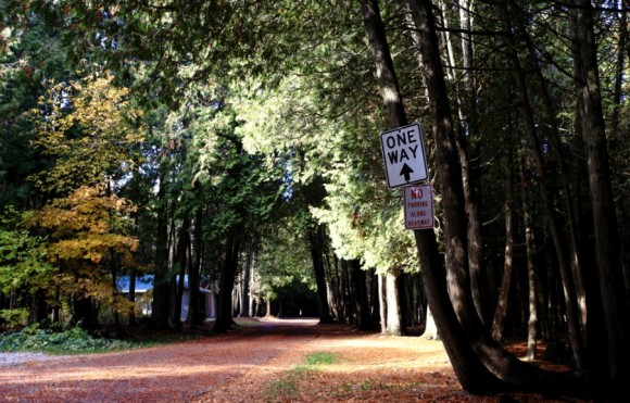 倾心奉上------北美红叶 （北密红叶代表地区Door county）