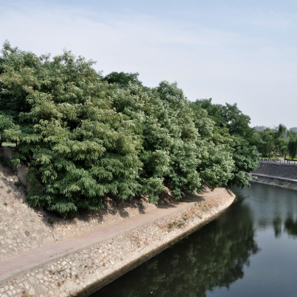 环城西苑古城墙之美景再现（题外2）