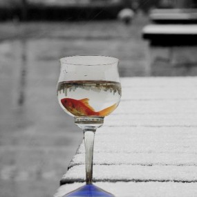 几张合成的小想法