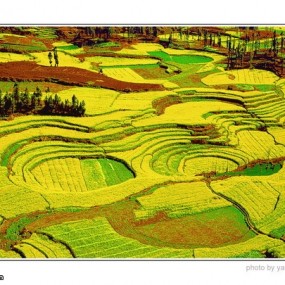 一个新华社记者镜头里的西部壮美山川（组图）