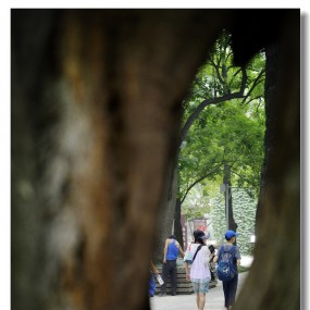 千年守候 只为妳回眸一笑 【小雁塔游记】