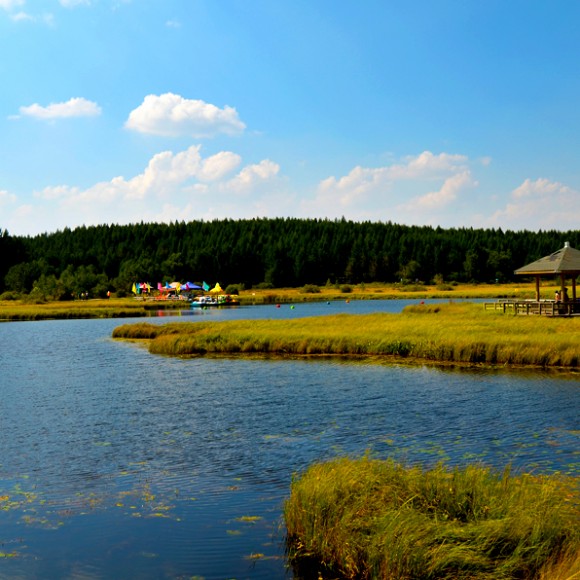 『塞罕坝秋歌，饮马七星湖』