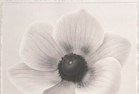 Ron van Dongen 花01