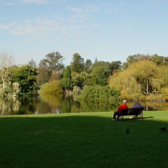 发现九锦之美 参赛作品 王养维