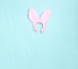 粉色的兔女郎和小天使