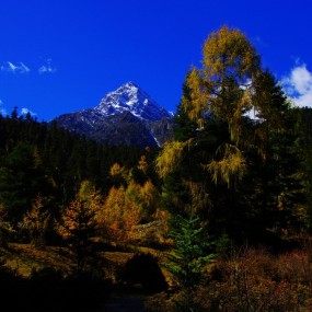 《多彩神山,杜基拉初》