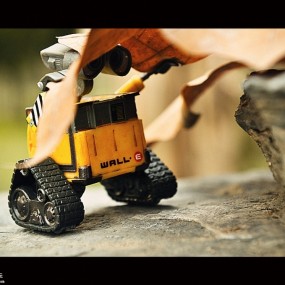 我把伊娃弄丢了