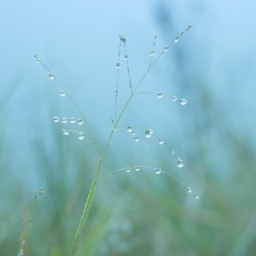 回不去的过去，回不去的家乡