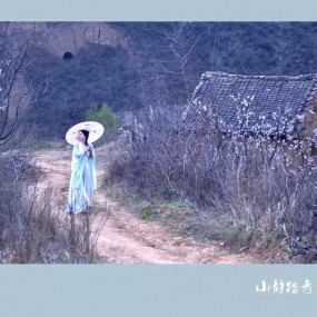 吹回杏花谷的春天