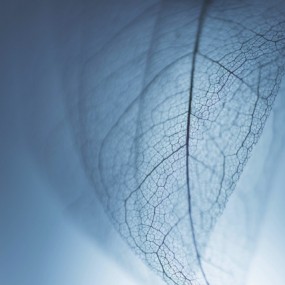 11月22本期精彩合集