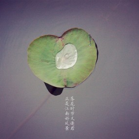 镜子乱拍 & 下江南 （一） ~