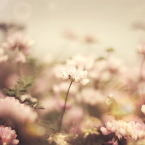 乱乱的心情乱乱的拍