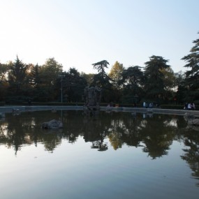 兴庆公园   靓女如花