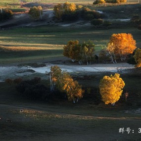 坝上秋季--光的音符