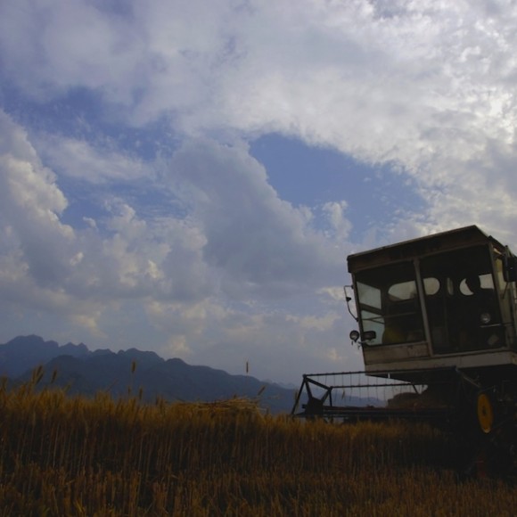 秦岭原野风光（八）