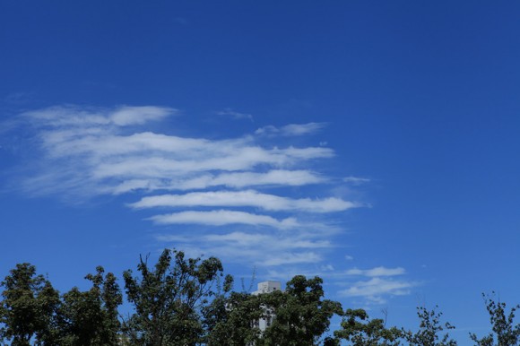北京721暴雨过后第二天