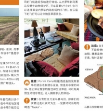 一半是狂野,一半是恬静