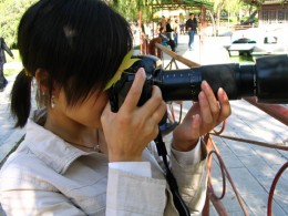 [传统黑白] 浅调墨语-秋