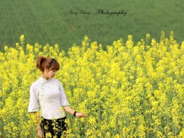 油菜花中文雅的女子————
