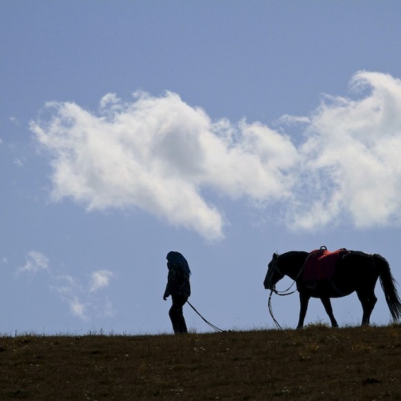 大美祁连（一）