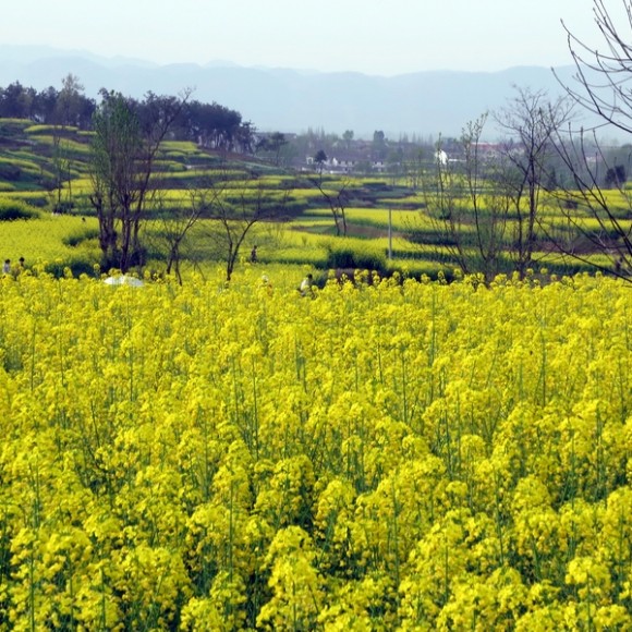 佳能博秀G1X试拍，请评价一下此机成像