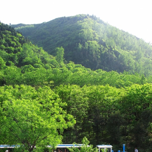 【原创】新人发动物园风景几张，多指导多批评