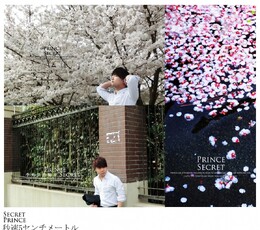 《 Prince ' s Secret 》