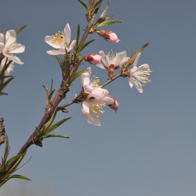 触摸这个季节的色影：春暖花开，草长莺飞
