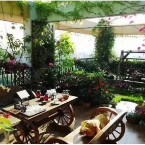 用花，拍出好照片