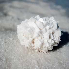 今天我们来讨论一个严肃的问题