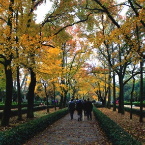 南京明孝陵的秋色