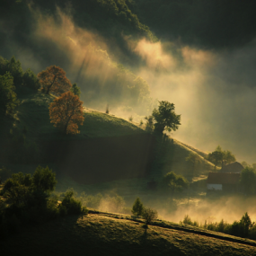 这些风景太美了！