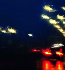 微距打造如火焰般跳动的雨水