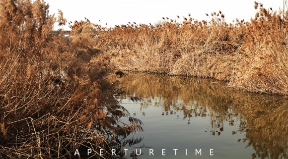 灞桥湿地公园  踩点