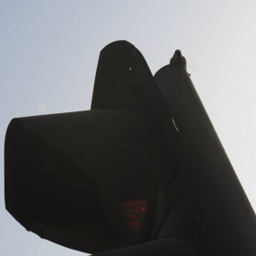 生命，你看得到吗