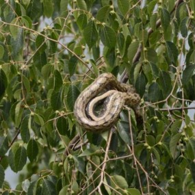 云丘山系列之——玉皇顶巧遇小龙