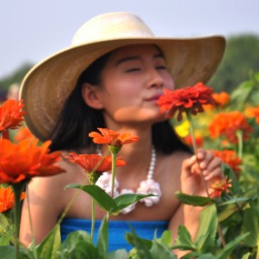 周至葵花园人像作业