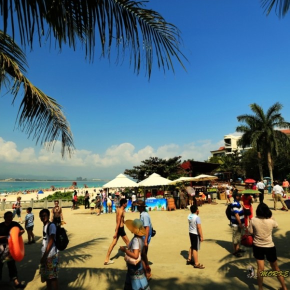 【三亚揽胜】--椰海风光