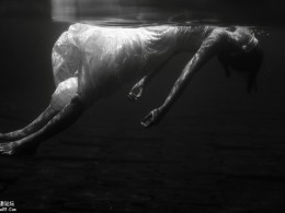 tommy cavarela 唯美艺术摄影