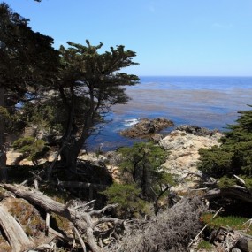 蒙特雷17-mileDrive海湾