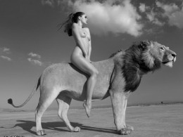 狮子~多想拍一次狮子啊~~