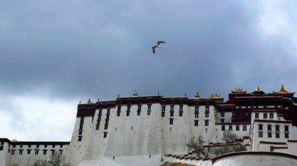 ［西藏图记］如果选择春天离开， 佛能宽恕我吗